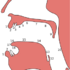 18o_medium
