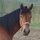 mrneigher