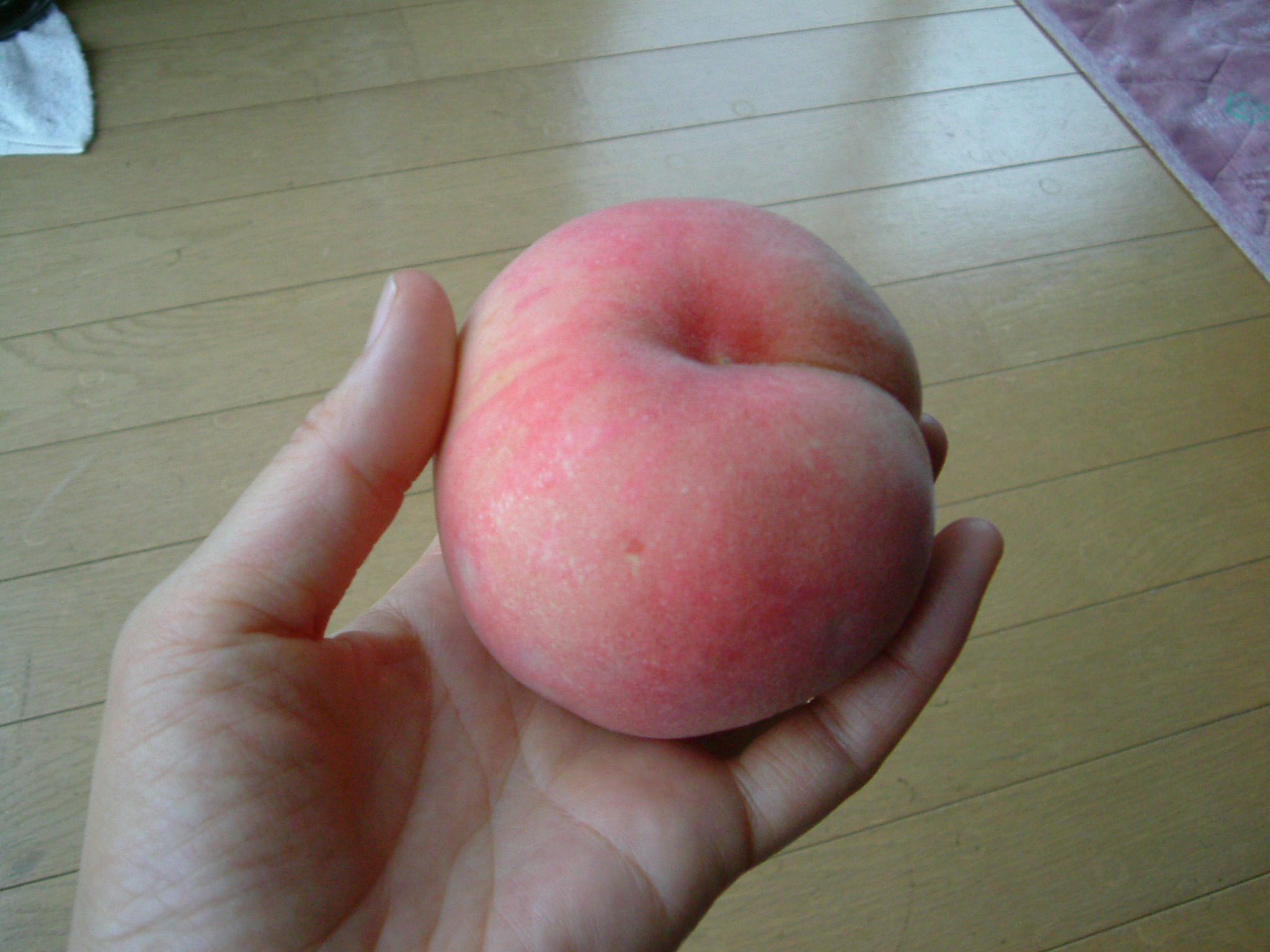 neginohana