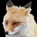 ninetails