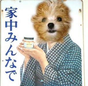 satogogo